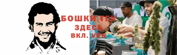 PSILOCYBIN Аркадак