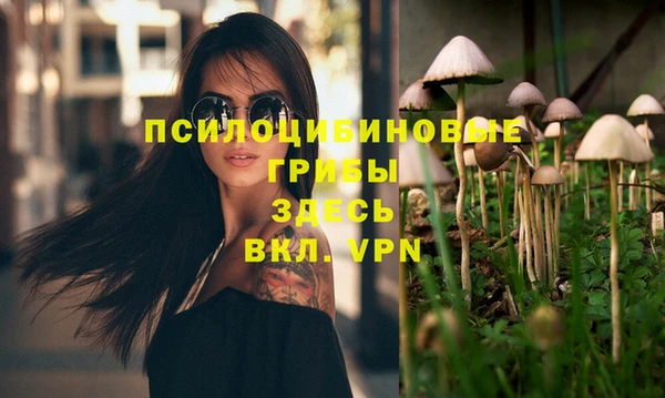 бошки Алексеевка
