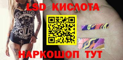 трава Сланцы