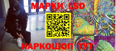 трава Сланцы