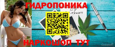 трава Сланцы
