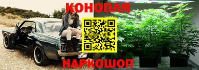 герыч Славянск-на-Кубани