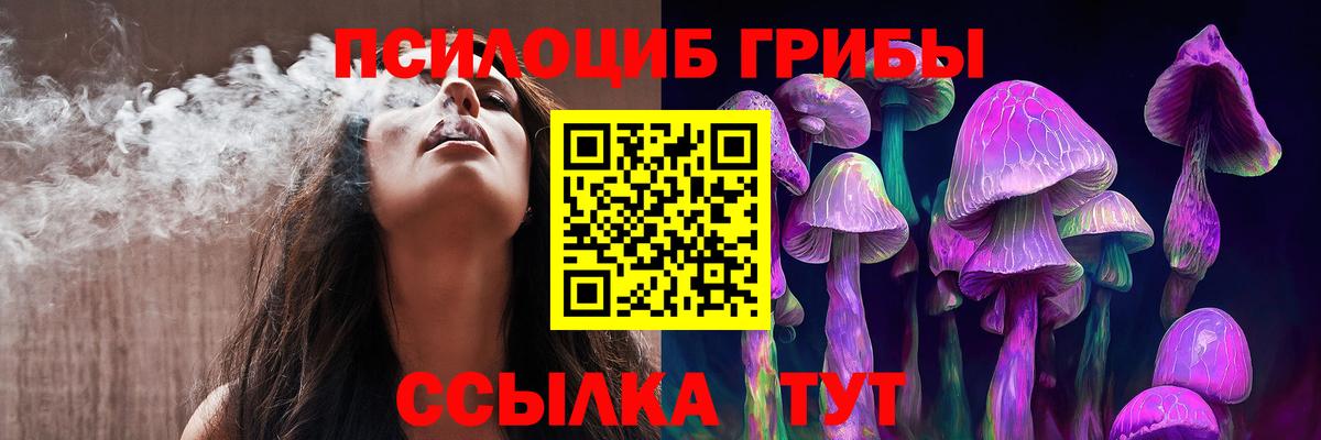 Псилоцибиновые грибы Magic Shrooms Новодвинск