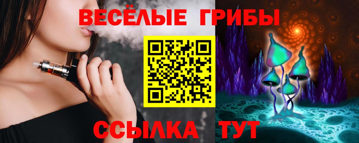 Новодвинск  Псилоцибиновые грибы прущие грибы  Вход с VPN 